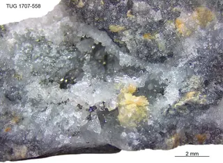 Diaphorite