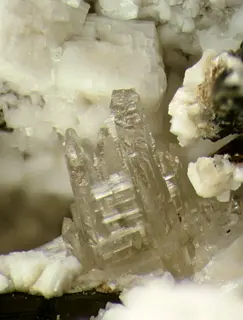 Behoite-285721.jpg