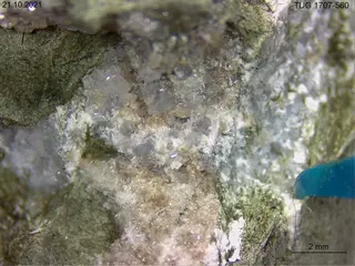 elpidite