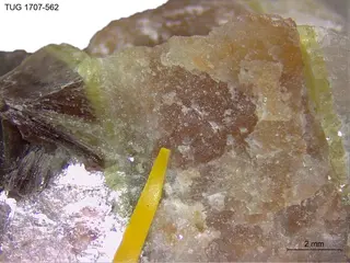 Eosphorite