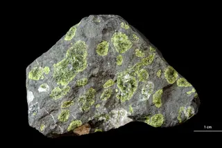 Epidote