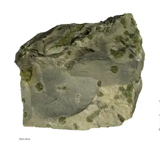 Epidote