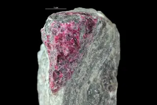 Eudialyte