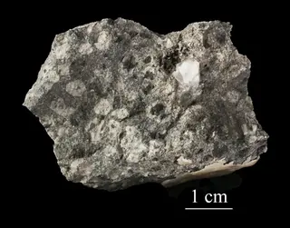 Fayalite