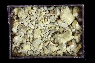 Fibroferrite