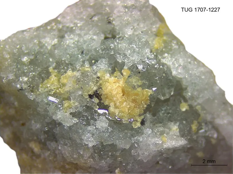 Carbonate-rich Fluorapatite
