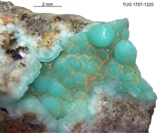 Carbonate-rich Fluorapatite