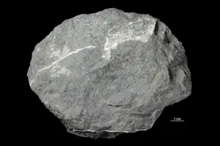 Galenobismutite