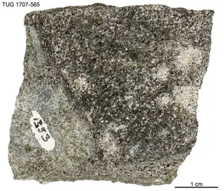 Ganomalite