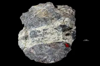 Gersdorffite