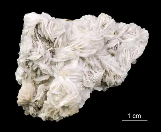 Glauberite