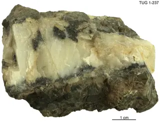 Glaucodot