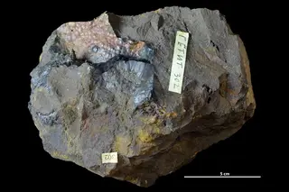Goethite
