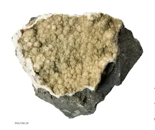 Zeolite Group