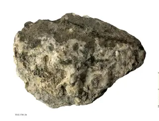 Zeolite Group