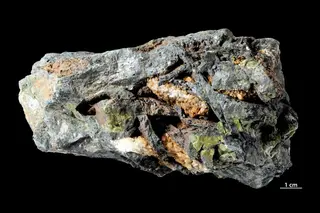 Hastingsite