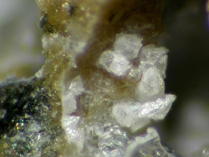 Bellbergite