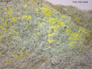 Haynesite