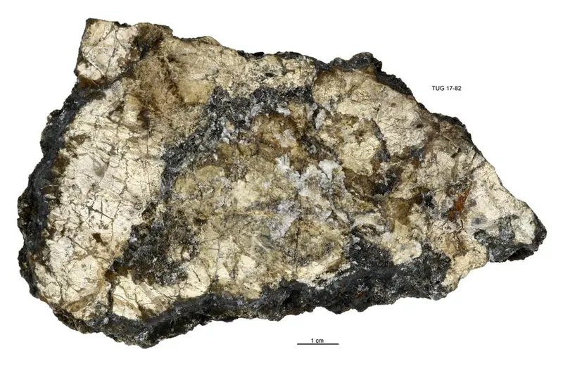 Hetaerolite