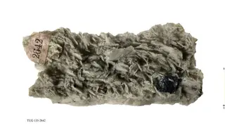 Heteromorphite