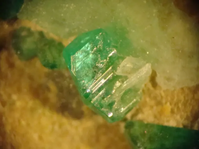 Bellingerite - Chuquicamata District, Calama, El Loa Province, Antofagasta Region, Chile.jpg