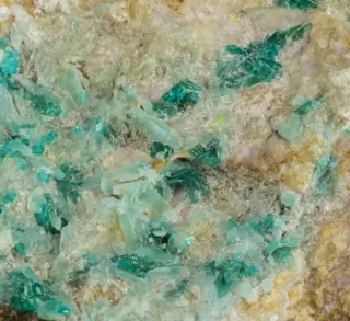 Bellingerite, Leightonite-662309.jpg