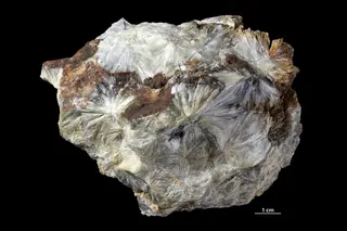 Hydroboracite