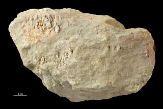 Jarosite