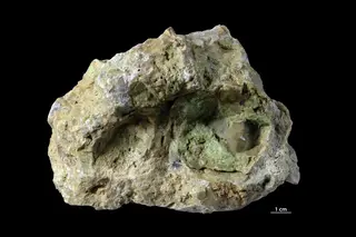 Kerolite