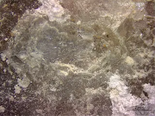Khademite