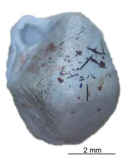 kudriavite