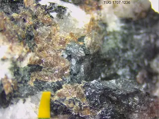 Låvenite