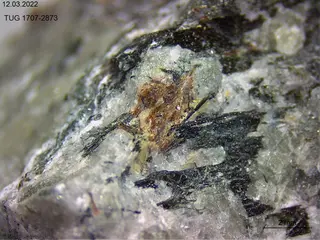 lobanovite