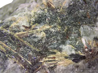 lobanovite