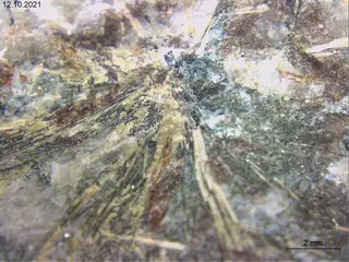lobanovite