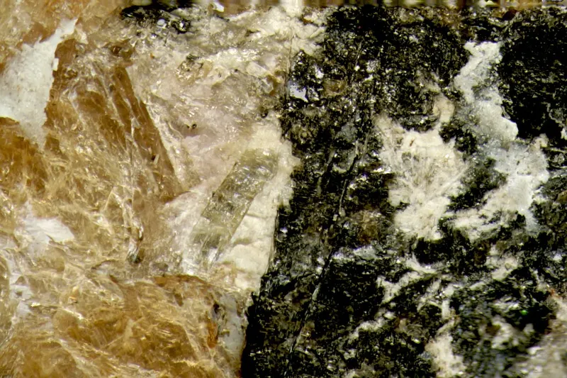 Belovite-(Ce), Umbozerite, Sérandite, Shkatulkalite-576104.jpg