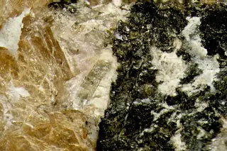 Belovite-(Ce), Umbozerite, Sérandite, Shkatulkalite-576104.jpg
