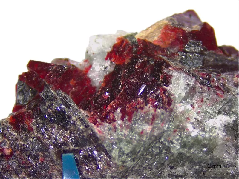 lomonosovite