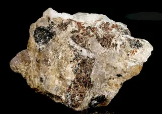 Belovite-(Ce), Umbozerite, Serandite, Shkatulkalite-576102.jpg
