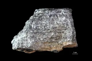 Magnesite