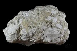 Magnesite