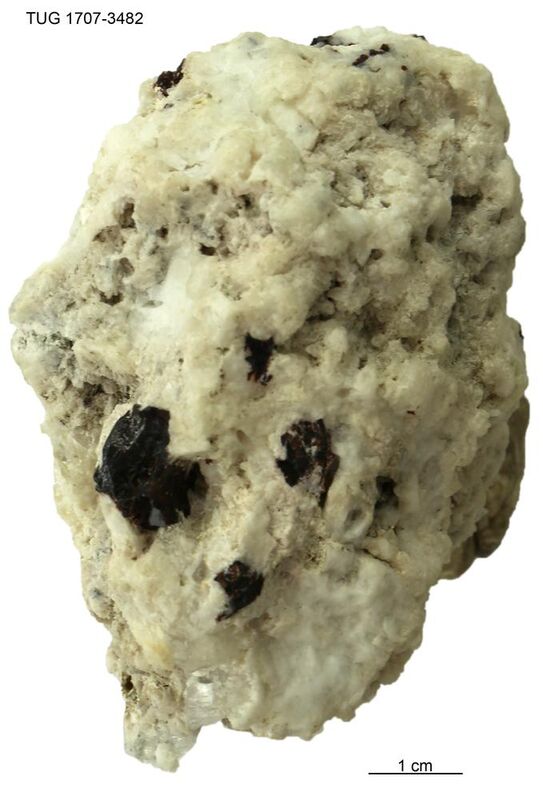 Manganoneptunite
