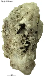 Manganoneptunite