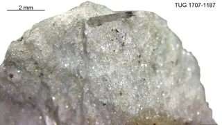 Marialite