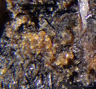Belyankinite.jpg