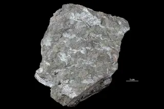 Lead