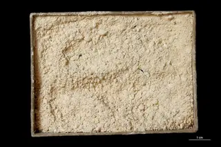Melanterite