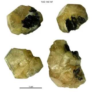 Mellite