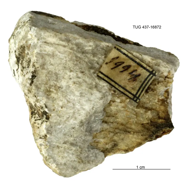 Mendipite