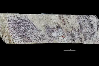 Microcline